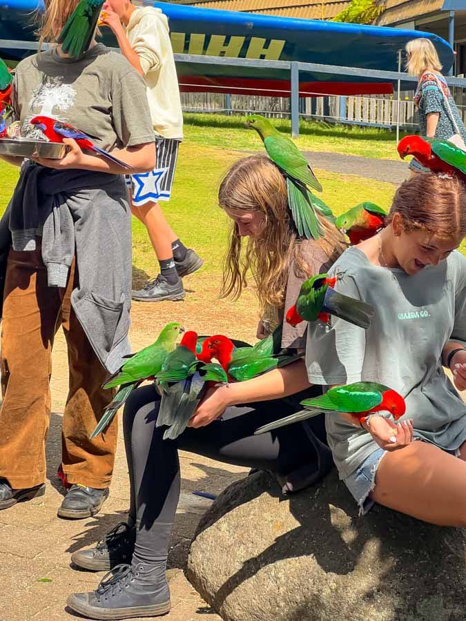 NDIS participant's feeding birds Brisbane